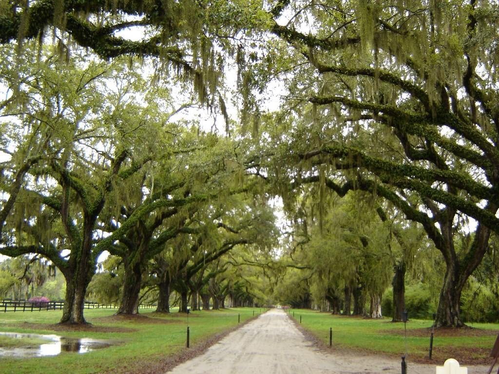 boone hall plantation