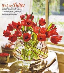 tulips