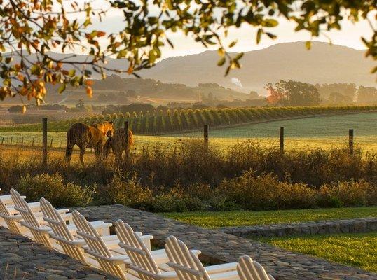 the carneros inn honeymoon