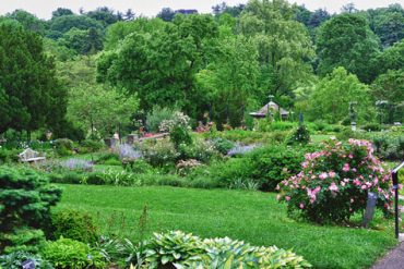 morris arboretum