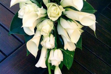 calla lily