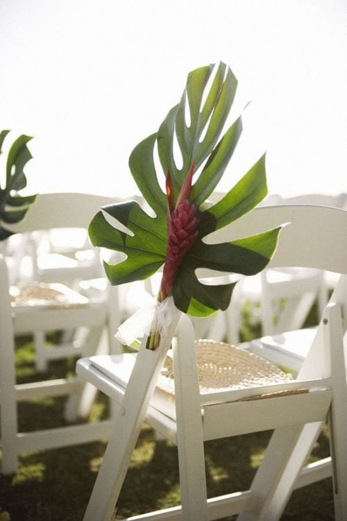 Use Palm Fronds