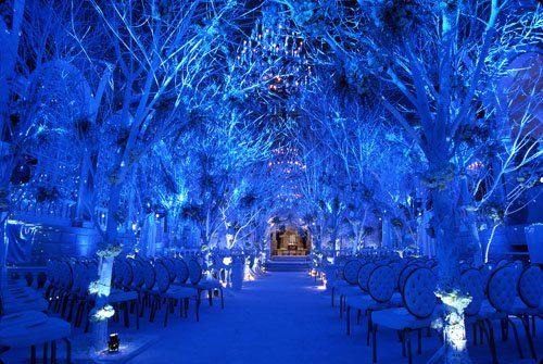 Winter Wonderland