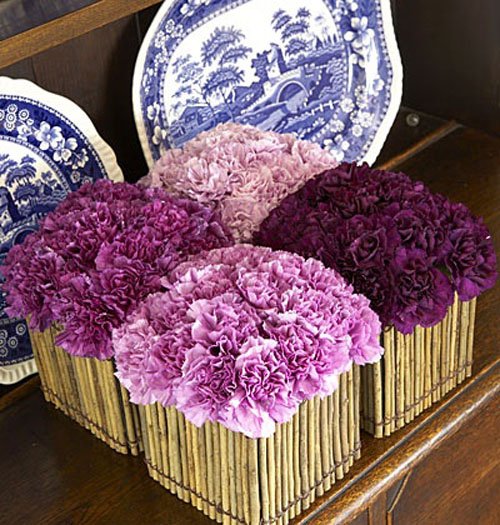 Cut low in varying shades of the same color