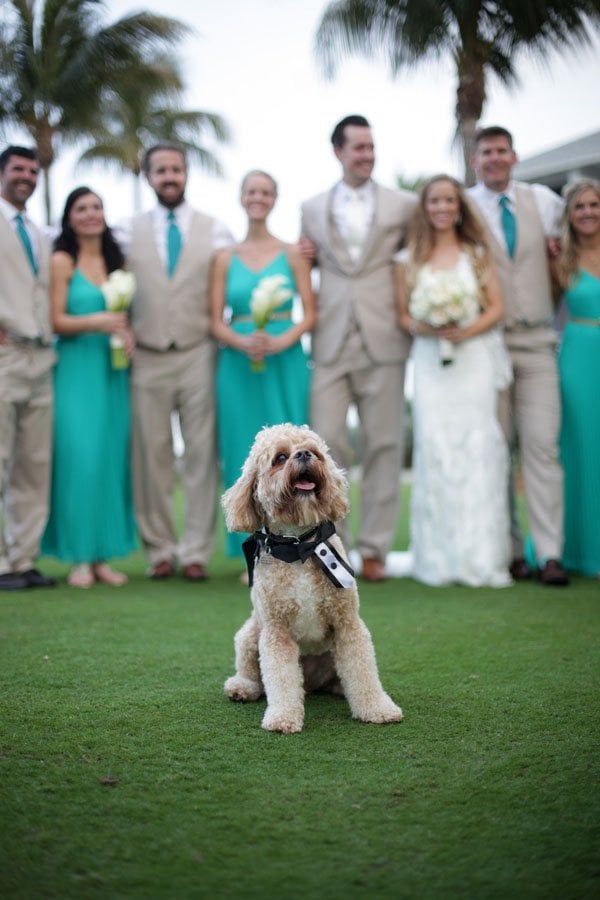 real-wedding-captiva-island-impressions-photograp-010