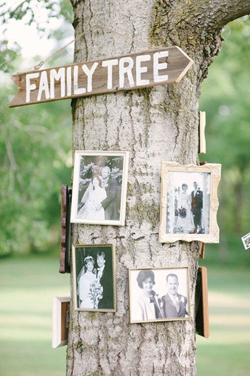 Best Wedding Photos
