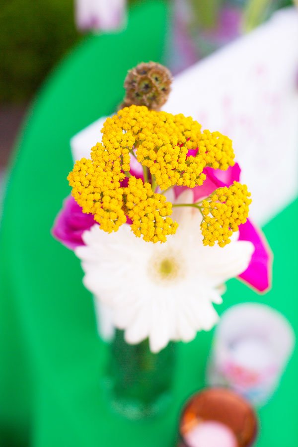 www.magnoliaphotography.com