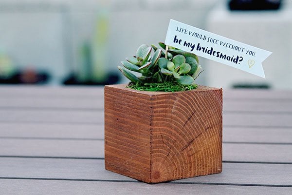 will-you-be-my-bridesmaid-printable-free-006