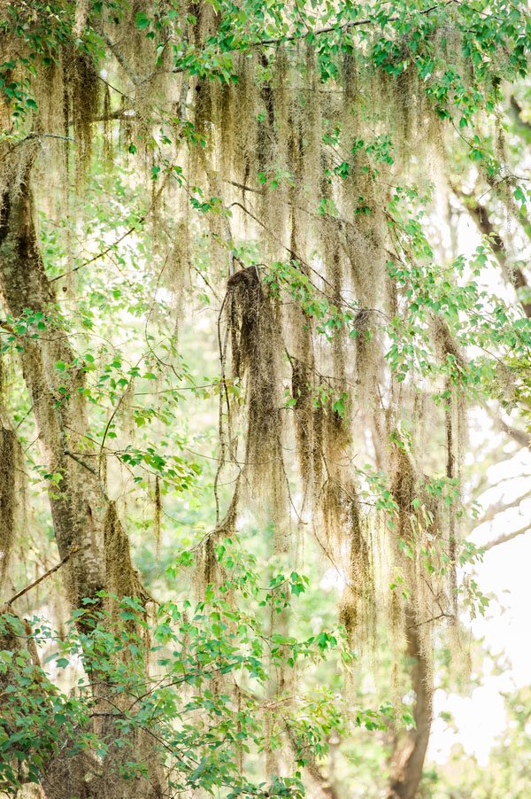 real-wedding-jessica-roberts-photography-011