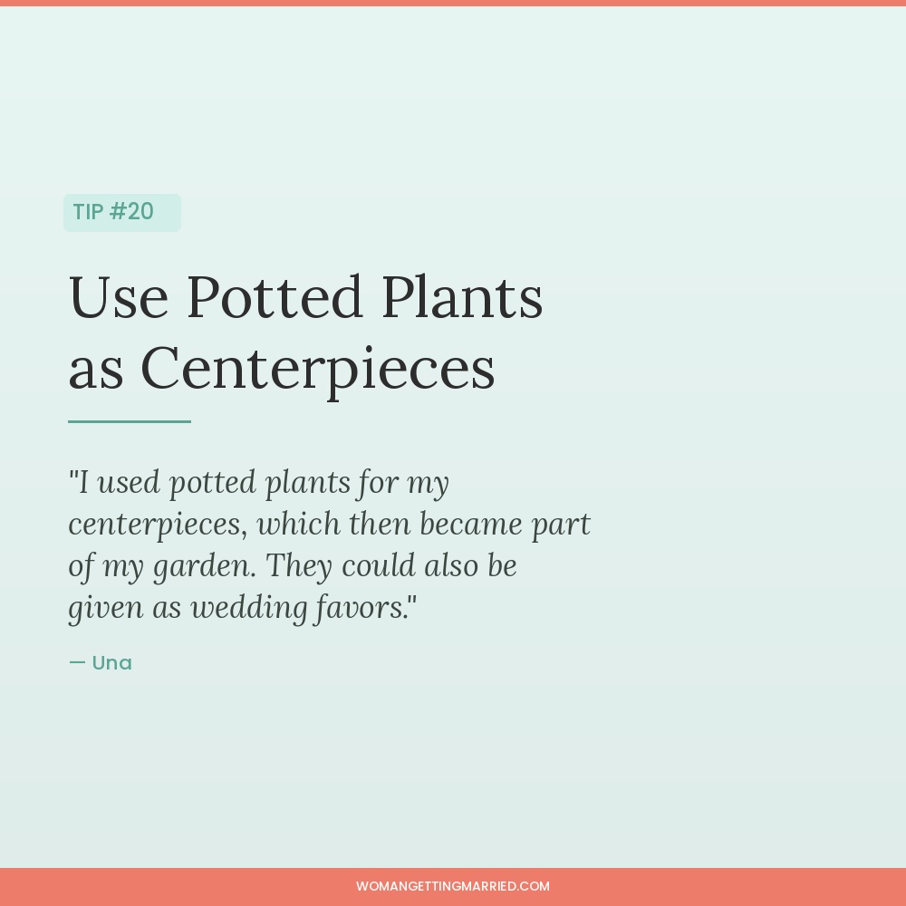 wedding budget tip use potted plants as centerpieces and wedding favors