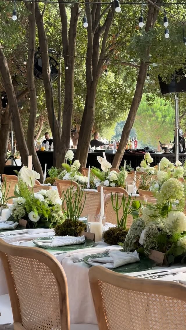 Outdoor reception tables under tall trees with pale linens, white-and-green floral centerpieces, cane-back chairs, gray-green napkins, and soft hanging lights