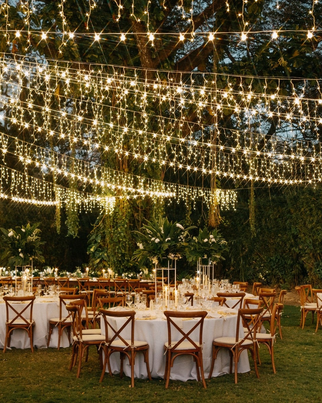 Long outdoor wedding table under dense canopy of hanging fairy lights at dusk