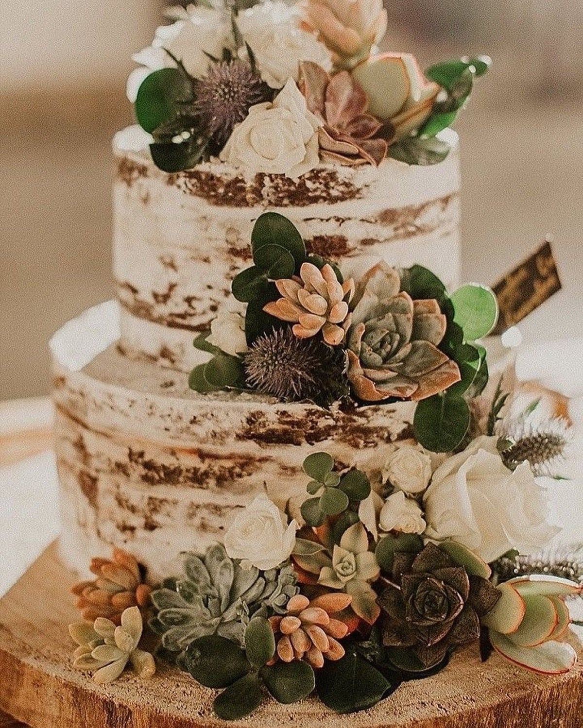 Semi-naked rustic wedding cake covered in succulents on a wood slice